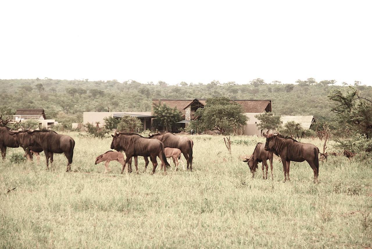 Kruger Sunset Lodge Hectorspruit Exterior foto